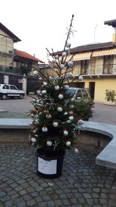 20151208_154337