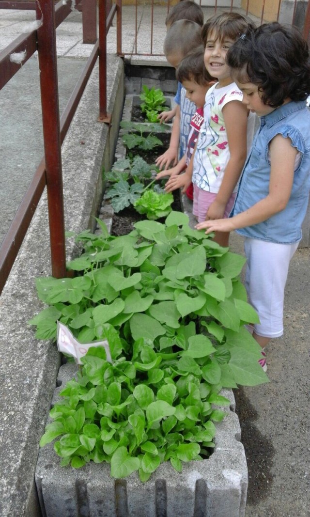 Progetto Orto…le verdure del nostro orticello sono cresciute!